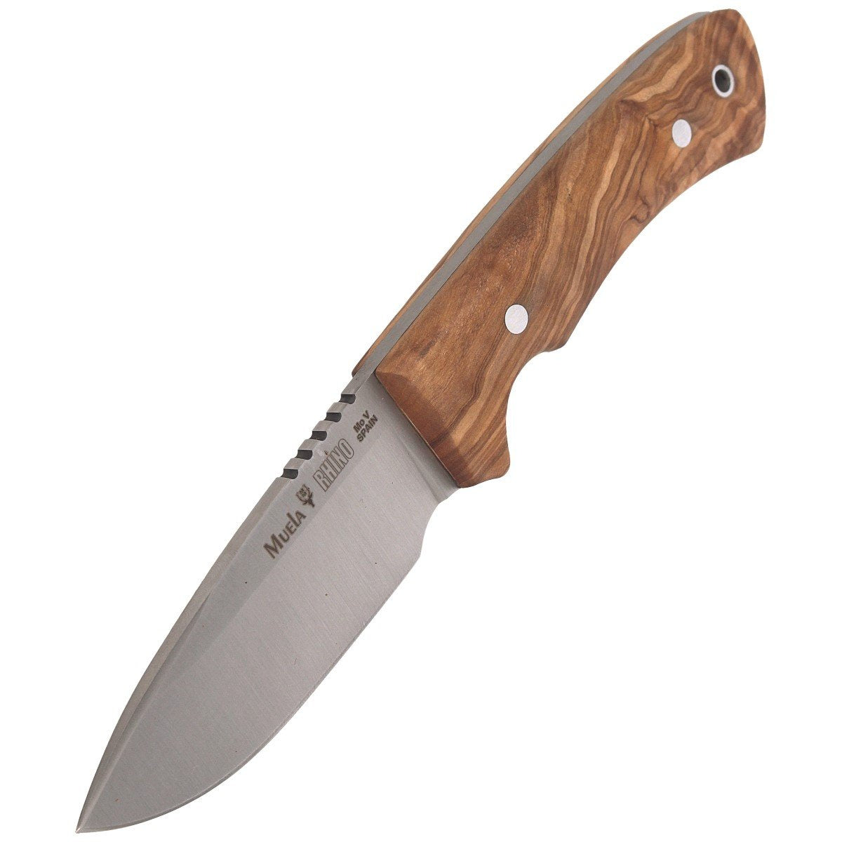 Nóż Muela Full Tang Olive Wood 90mm (RHINO-9.OL)