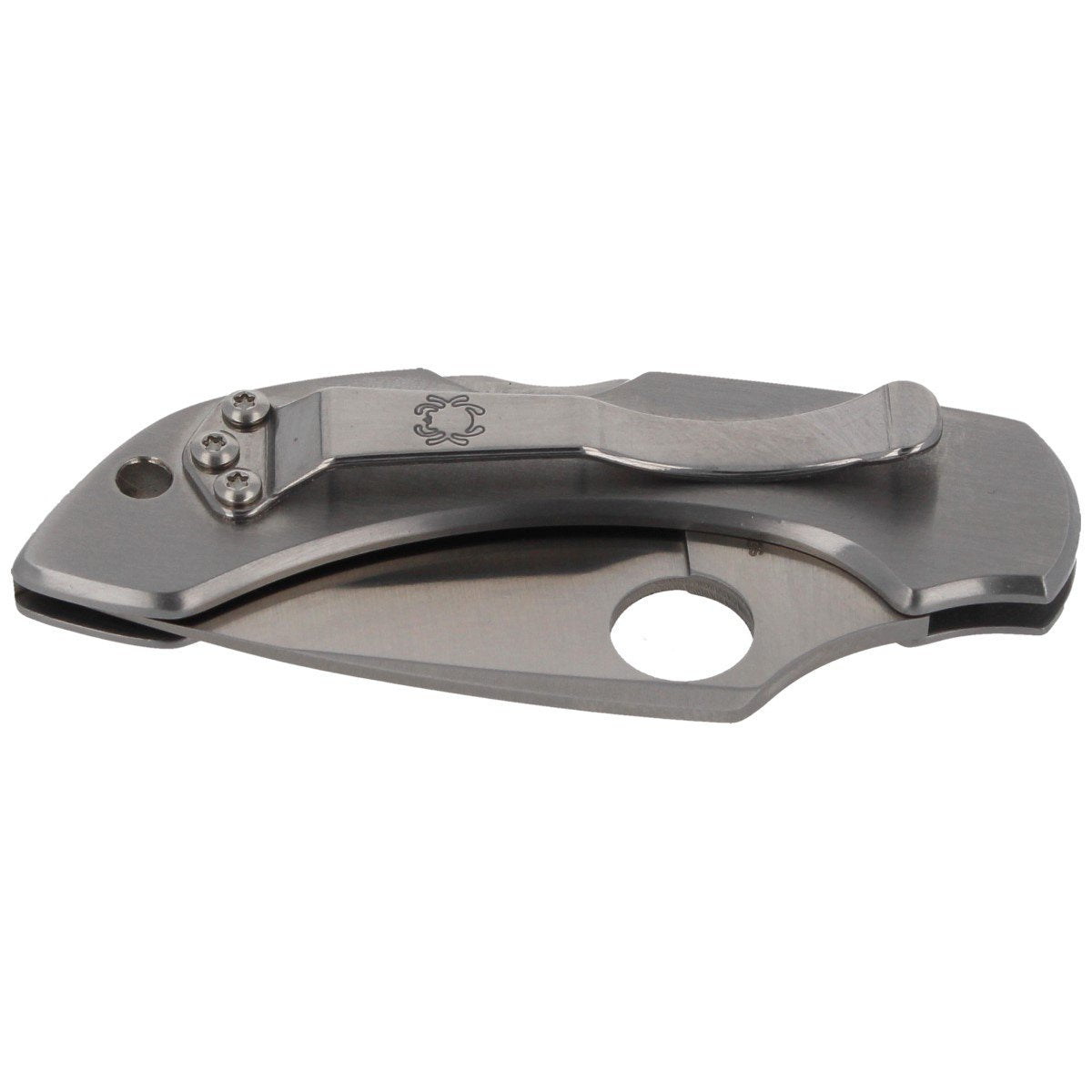 Nóż Spyderco Dragonfly Stainless Steel Plain (C28P)