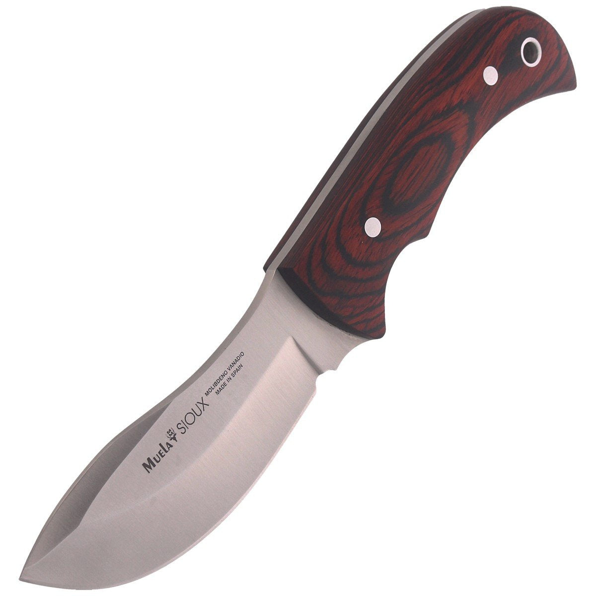 Nóż Muela Skinner Pakkawood, Satin X50CrMoV15 (SIOUX-10R)